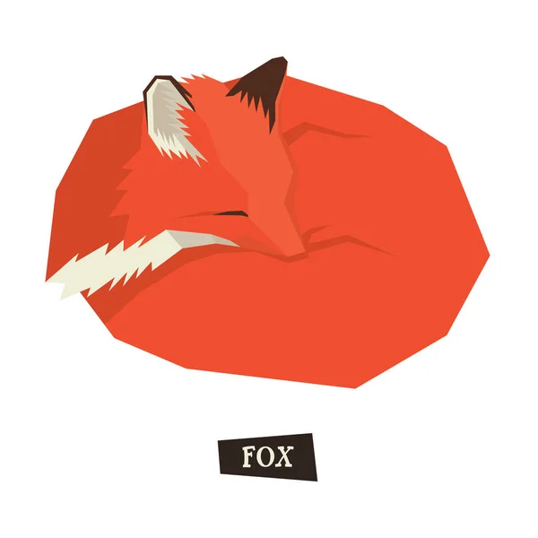 Wild animals collection Red Fox sleeping Geometric style — Stock Vector