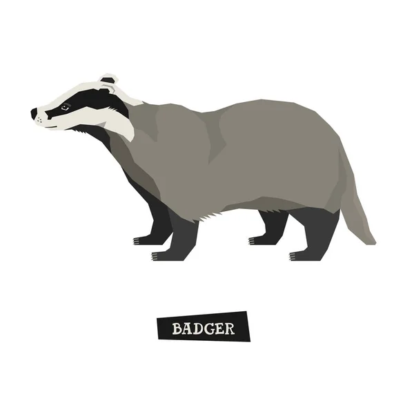 Wild animals collection Badger Geometric style — Stock Vector
