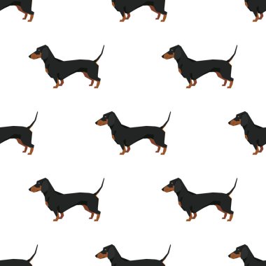 Köpek toplama Dachshund Seamless Modeli