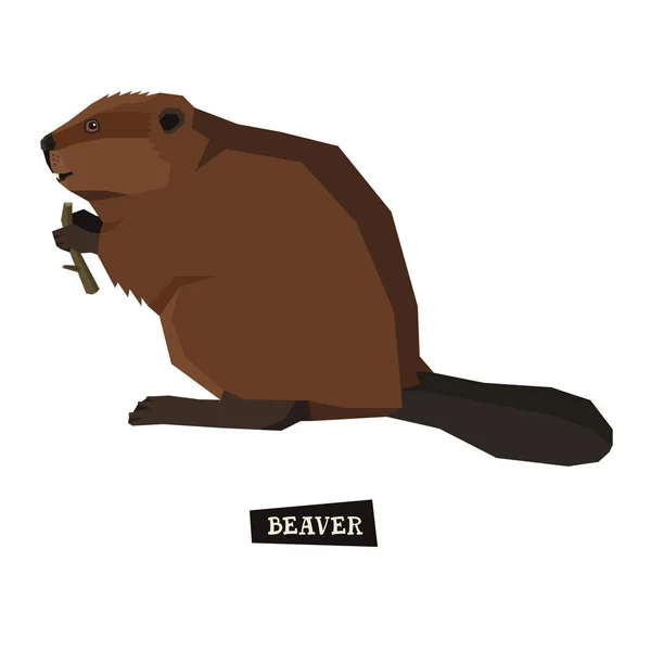 Wild animals collection Beaver Geometric style — Stock Vector