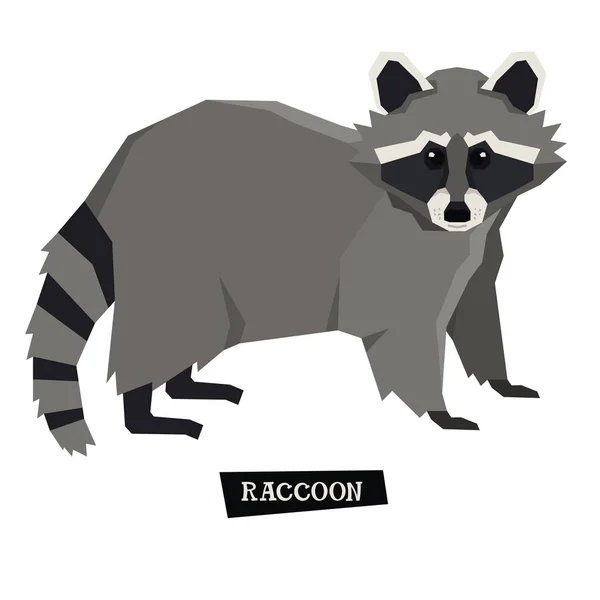 Kolekcja dzikie zwierzęta Raccoon geometryczny styl — Wektor stockowy