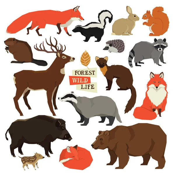 Bosque Vida Silvestre animales aislados conjunto — Vector de stock