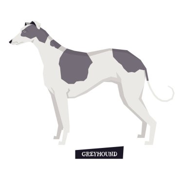 Köpek toplama Greyhound geometrik tarzı