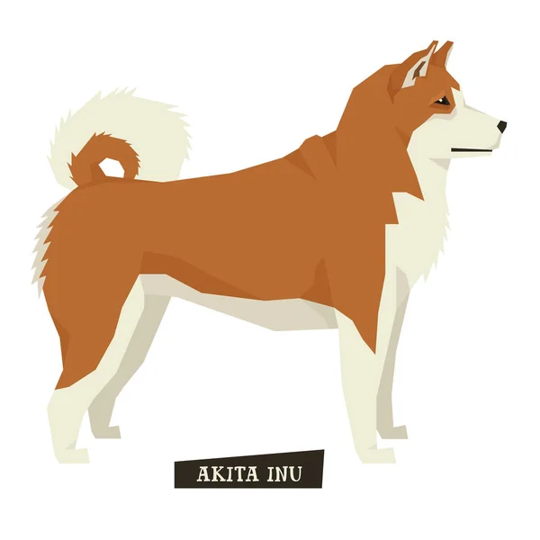 Hundesammlung akita inu geometrischer Stil — Stockvektor