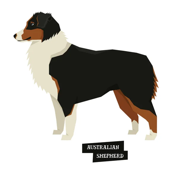 Collection chien Berger Australien Style géométrique — Image vectorielle