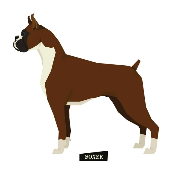 Colección perro Boxer Estilo geométrico — Vector de stock