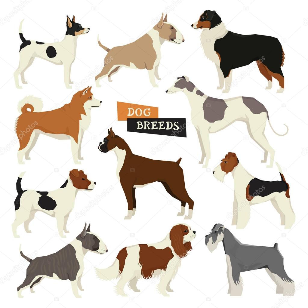 Dog collection. Geometric style. Vector set of 11 dog breeds. Is