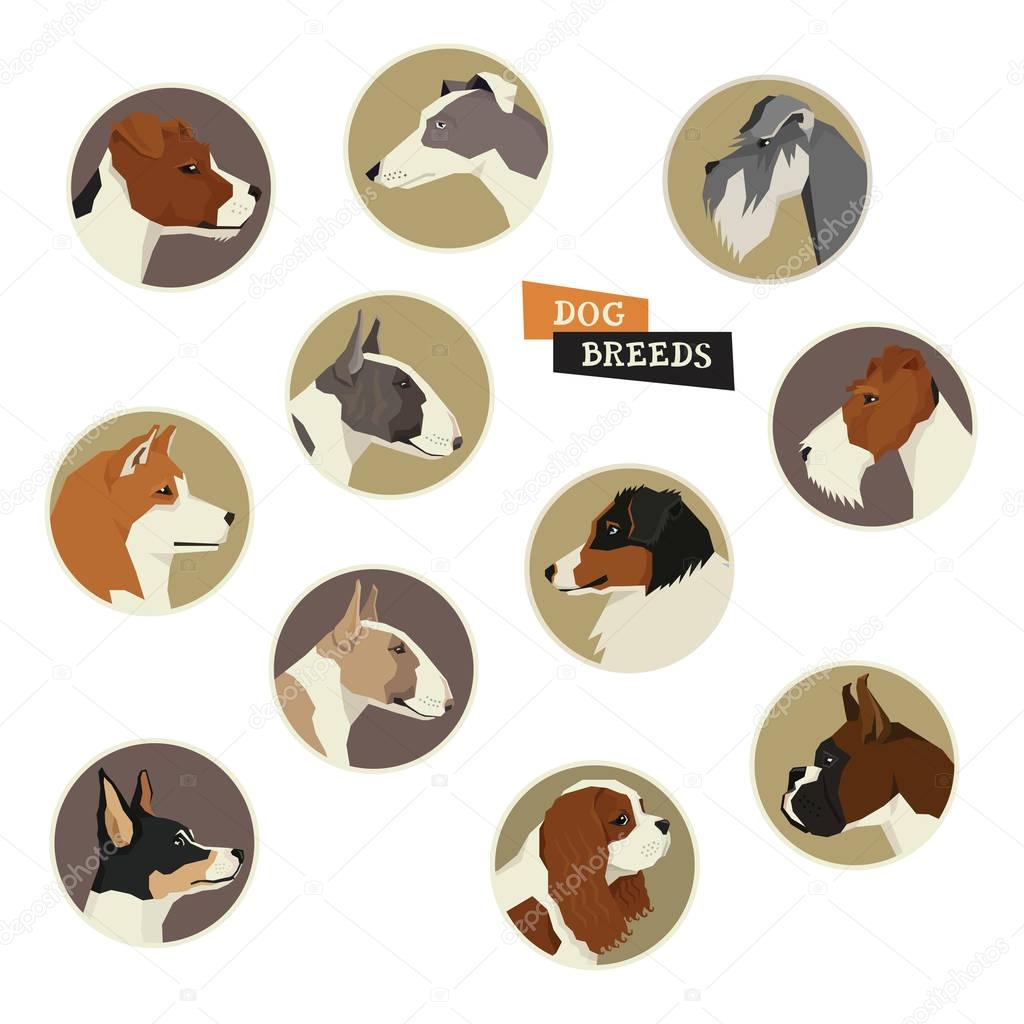 Dog collection. Vector set of 11 dog breeds. Geometric style ico