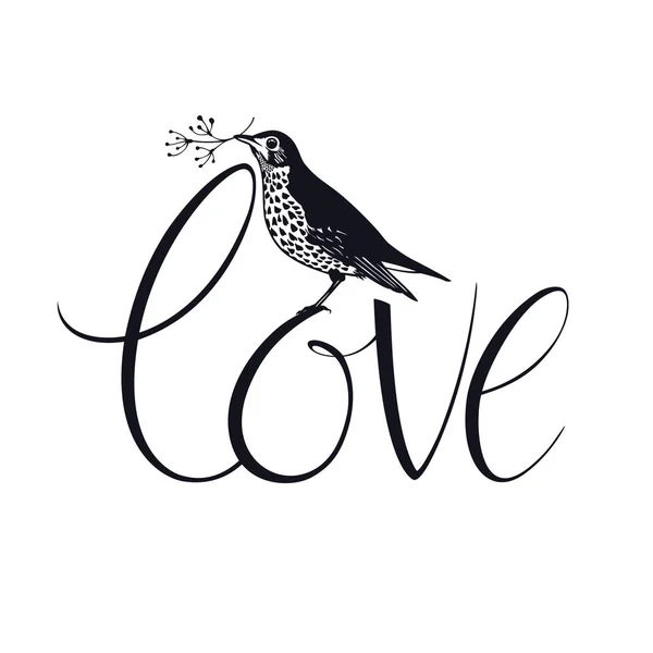 Song Thrush Love Tarjeta de diseño — Vector de stock