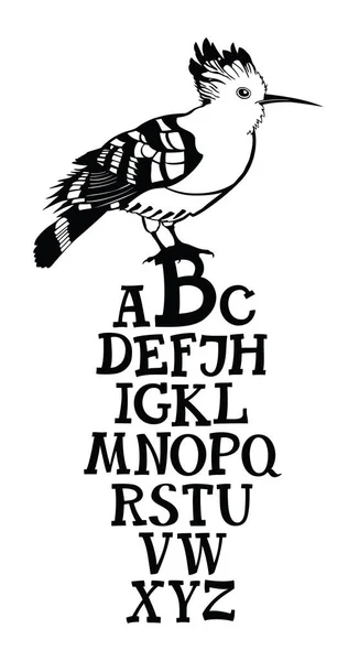 Vögel Sammlung Poster Alphabet mit Wiedehopf Vogel — Stockvektor