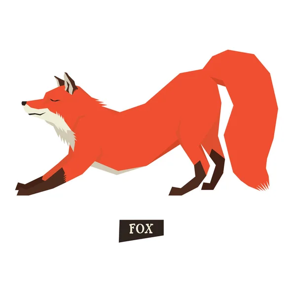 Коллекция диких животных Stretching Red Fox Isolated object — стоковый вектор