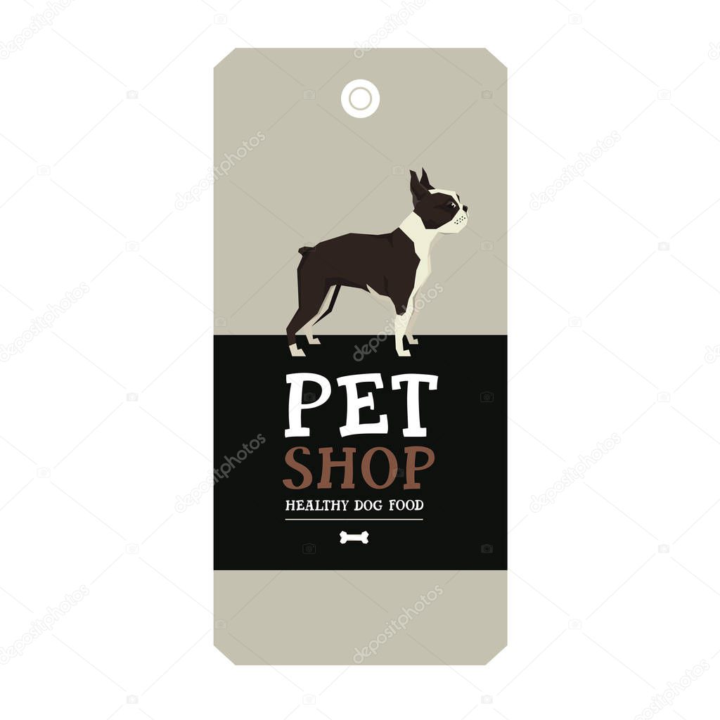 Poster Pet Shop Design label Vector Illustration Boston Terrier set