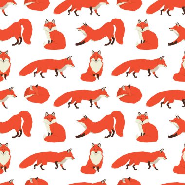 Vahşi hayvanlar koleksiyonu Kırmızı tilki arka plan