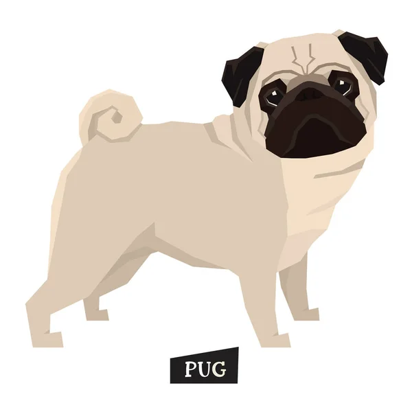 Colección perro Pug Estilo geométrico — Vector de stock