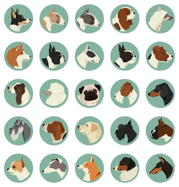 Dog breeds Avatars Vector set of 25 round frames — Stock Vector