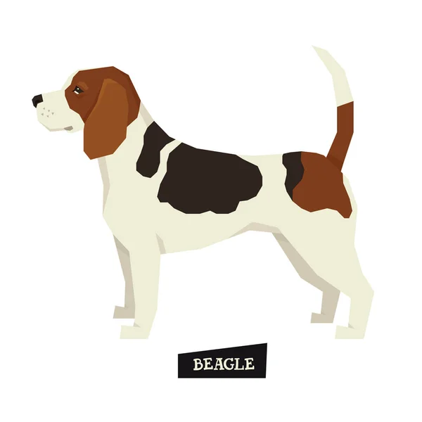 Kolekce pes Beagle geometrický styl — Stockový vektor