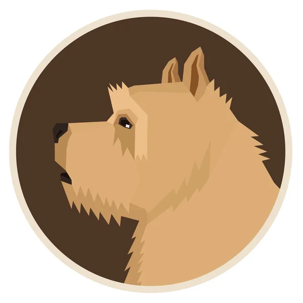 Colección perros Norwich Terrier Estilo geométrico Avatar icono redondo — Vector de stock