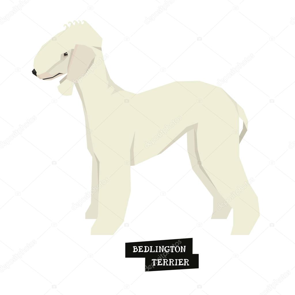 Dog collection Bedlington Terrier Geometric style