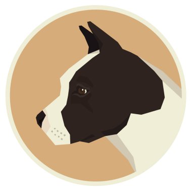 Köpek toplama Amerikan Staffordshire Terrier Avatar simge yuvarlak