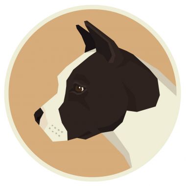 Köpek toplama Amerikan Staffordshire Terrier Avatar simge yuvarlak