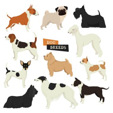 Dog collection Geometric style Vector set of different dog breed clipart