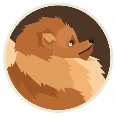 Köpek toplama Pomeranian geometrik tarzı Avatar simge yuvarlak
