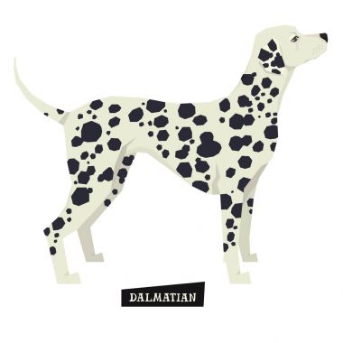 Köpek toplama Dalmaçya geometrik tarzı