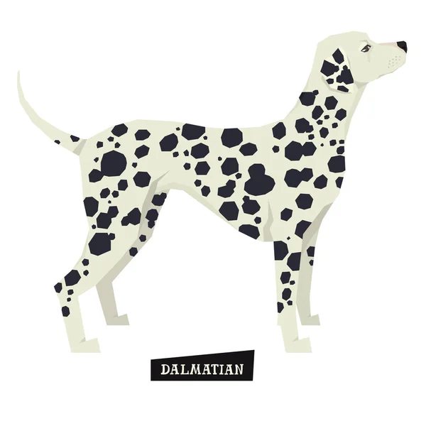 Dog collection Dalmatian Geometric style — Stock Vector