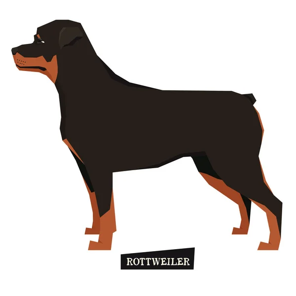 Dog collection Rottweiler Geometric style — Stock Vector