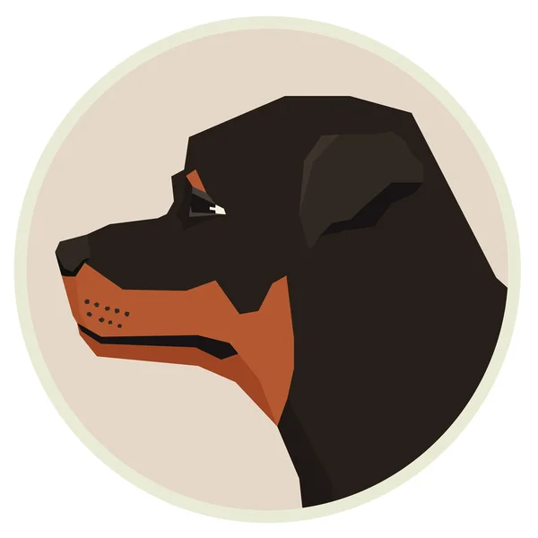 Coleção de cães Rottweiler Estilo geométrico Avatar ícone redondo — Vetor de Stock