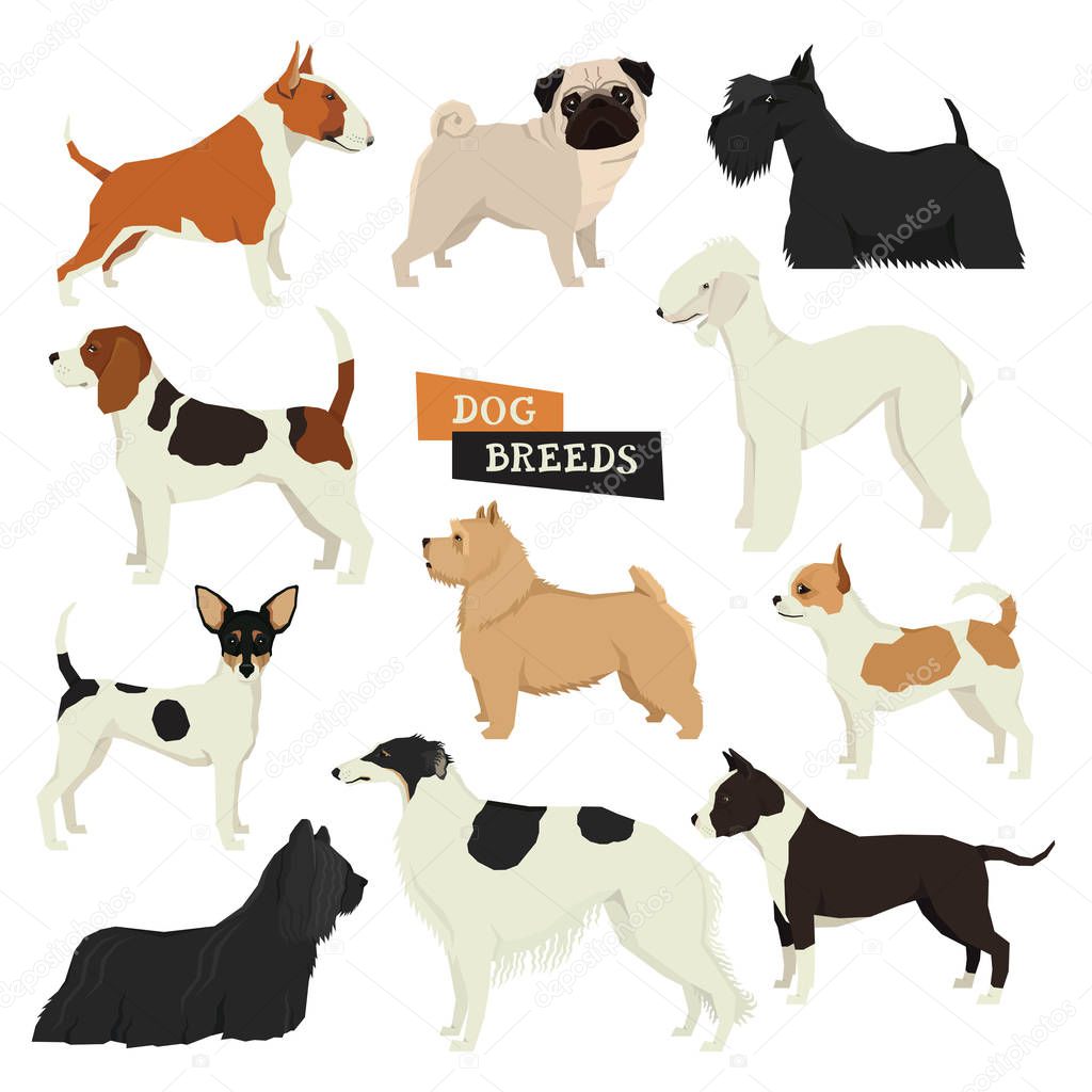 Dog collection Geometric style Vector set of different dog breed