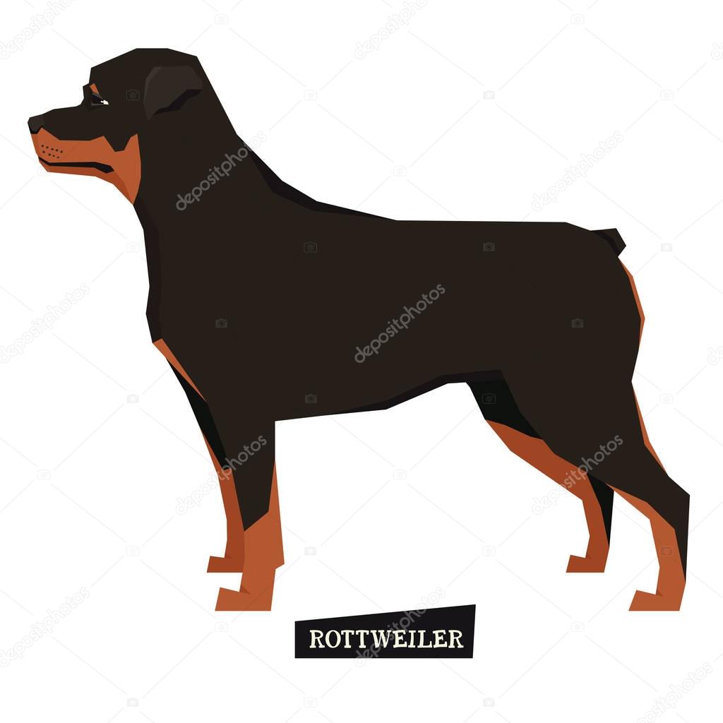 Dog collection Rottweiler Geometric style Isolated