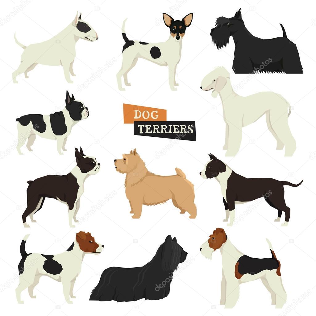 Dog collection Terriers Geometric style Set of isolated objects