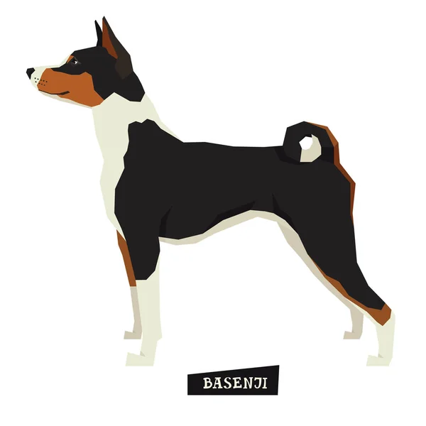 犬コレクションのバセンジー幾何学的なスタイルの分離オブジェクト — ストックベクタ