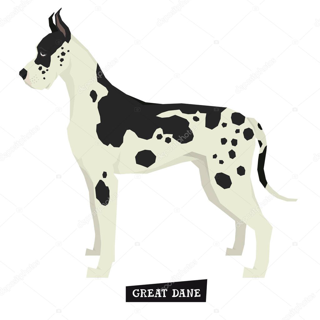 Dog collection Great Dane Geometric style Isolated object set