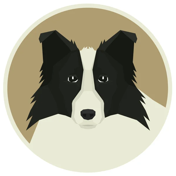 Hond collectie Border Collie geometrische Avatar stijlicoon ronde — Stockvector