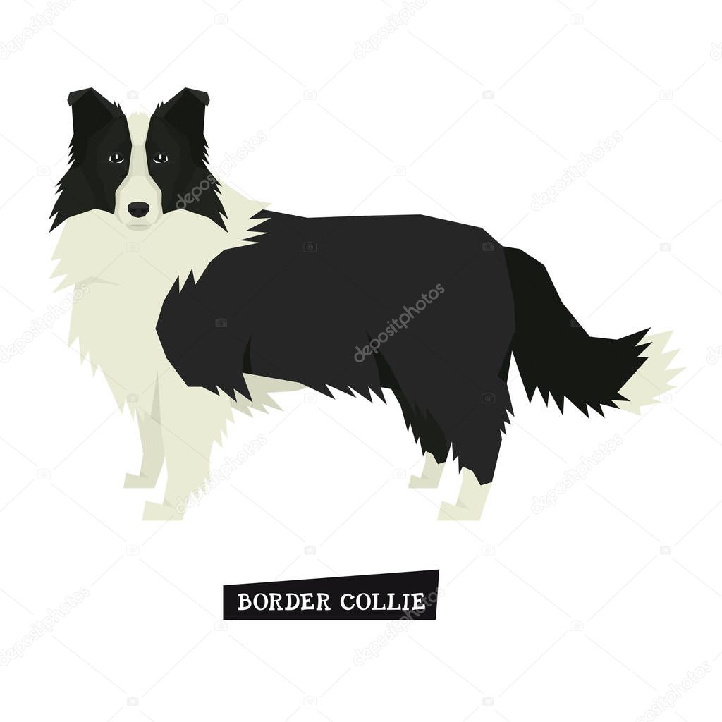 Dog collection Border Collie Geometric style Isolated object set
