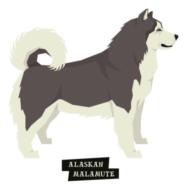 Köpek toplama Alaskan Malamute geometrik tarzı yalıtılmış nesne