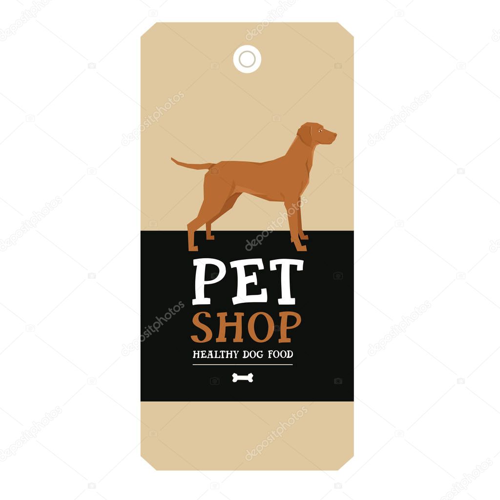Poster Pet Shop Design label Vizsla Geometric style