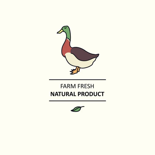 Farm fresh Natural product Line animals set Duck — Stock Vector