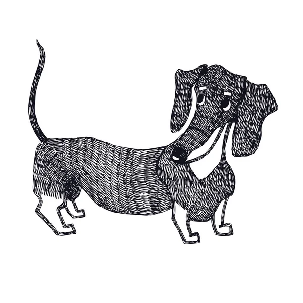 Dachshund Dibujo a mano Objeto aislado — Archivo Imágenes Vectoriales