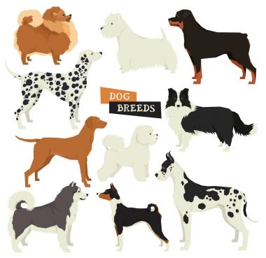 Köpek koleksiyonu. Geometrik tarzı. Vektör 10 köpek doğurmak-in ayarlayın. Olduğunu