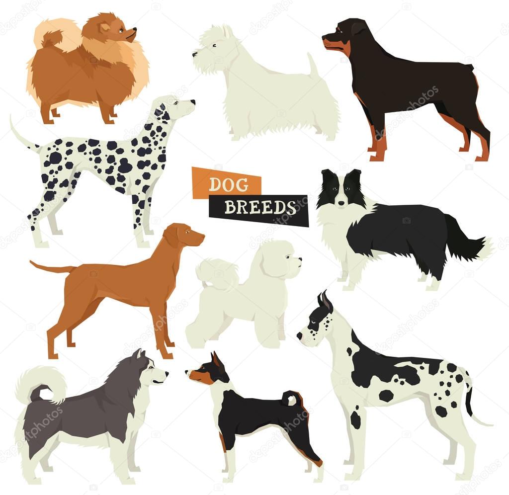 Dog collection. Geometric style. Vector set of 10 dog breeds. Is