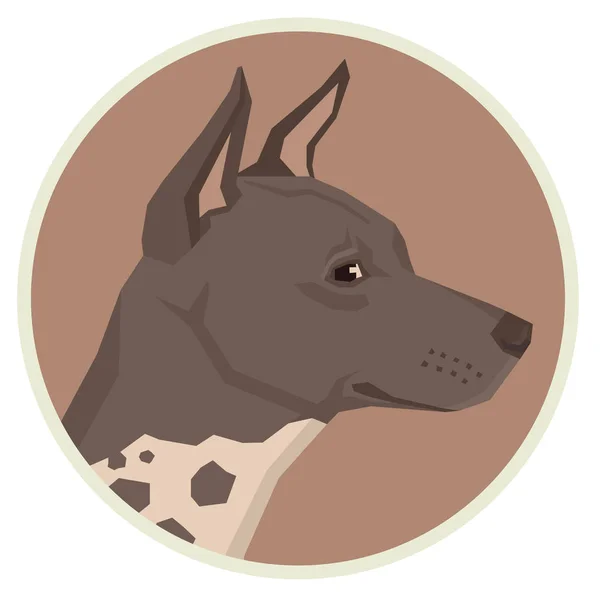 Colección perros American Hairless Terrier Estilo geométrico Avatar — Vector de stock