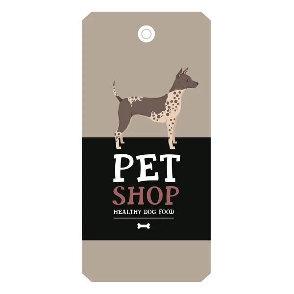 Poster Pet Shop Design label American Hairless Terrier Geometric - Stok Vektor