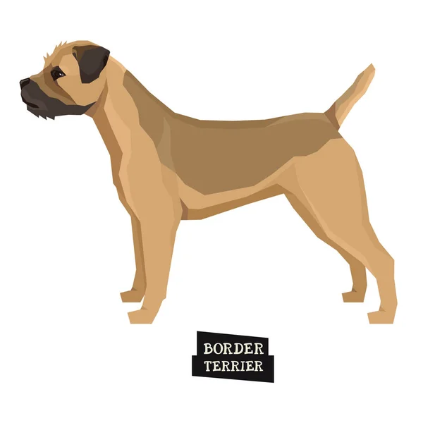 Collezione cane Frontiera Terrier Stile geometrico Oggetto isolato — Vettoriale Stock