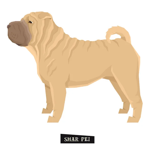 Σκύλος Shar Pei γεωμετρικό στυλ απομονωμένο αντικείμενο συλλογής — Διανυσματικό Αρχείο