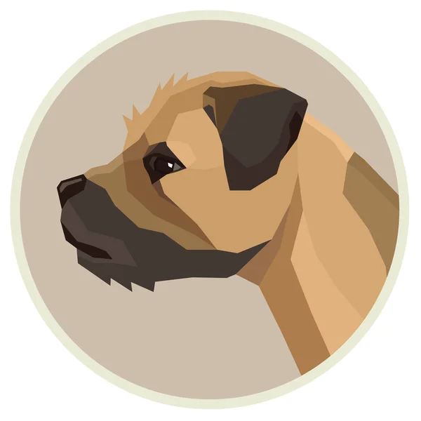Dog collection Border Terrier Geometric style Avatar icon round — Stock Vector