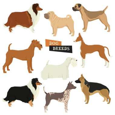 Dog collection Geometric style Vector set of 9 dog breeds Isolated objects clipart