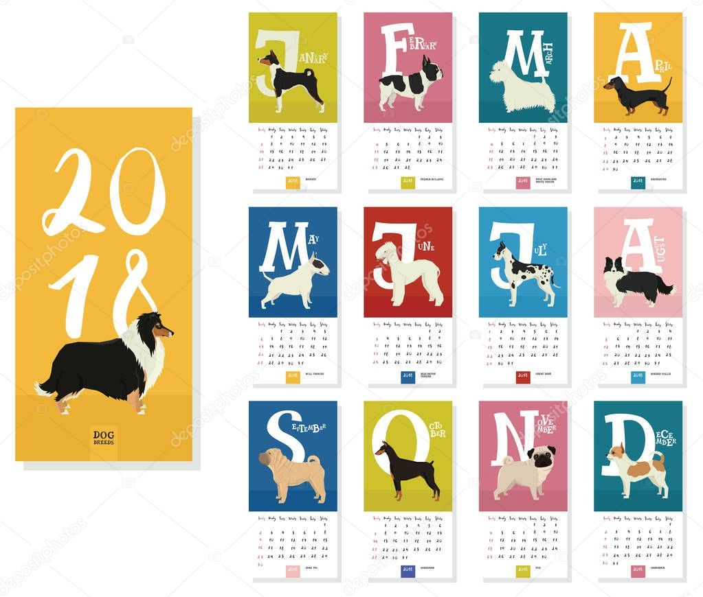 Calendar 2018 Dog breeds 12 months Colorful background
